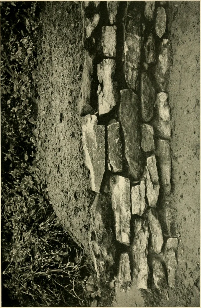 An illustration from Wall and water gardens, 1902, leaf 46