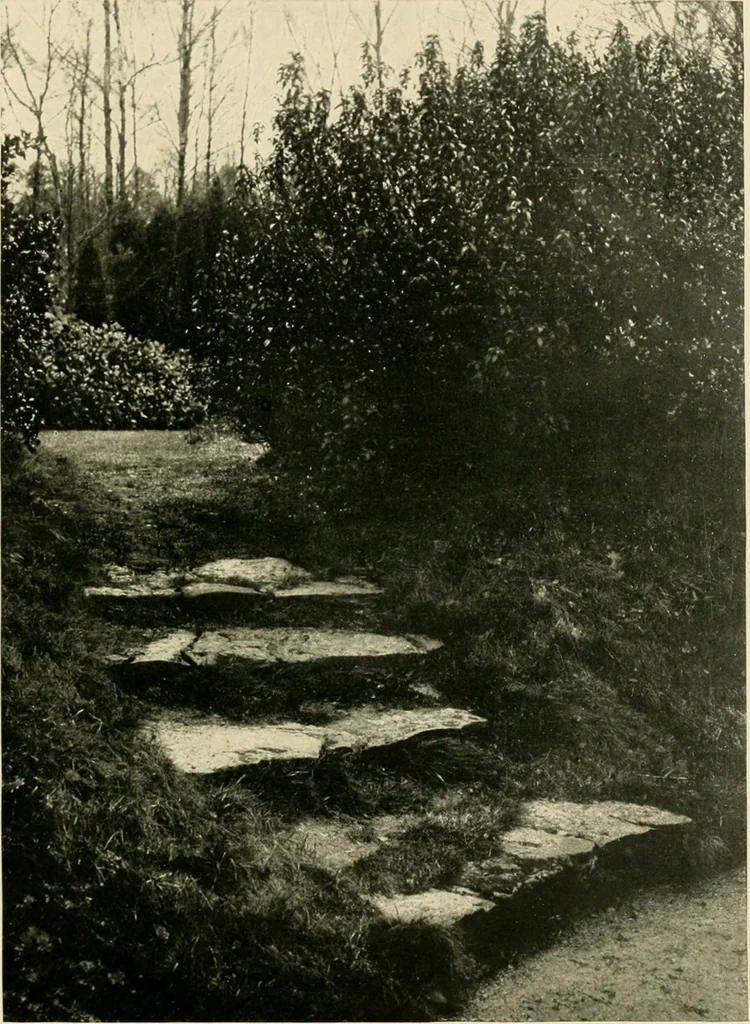 An illustration from Wall and water gardens, 1902, leaf 50