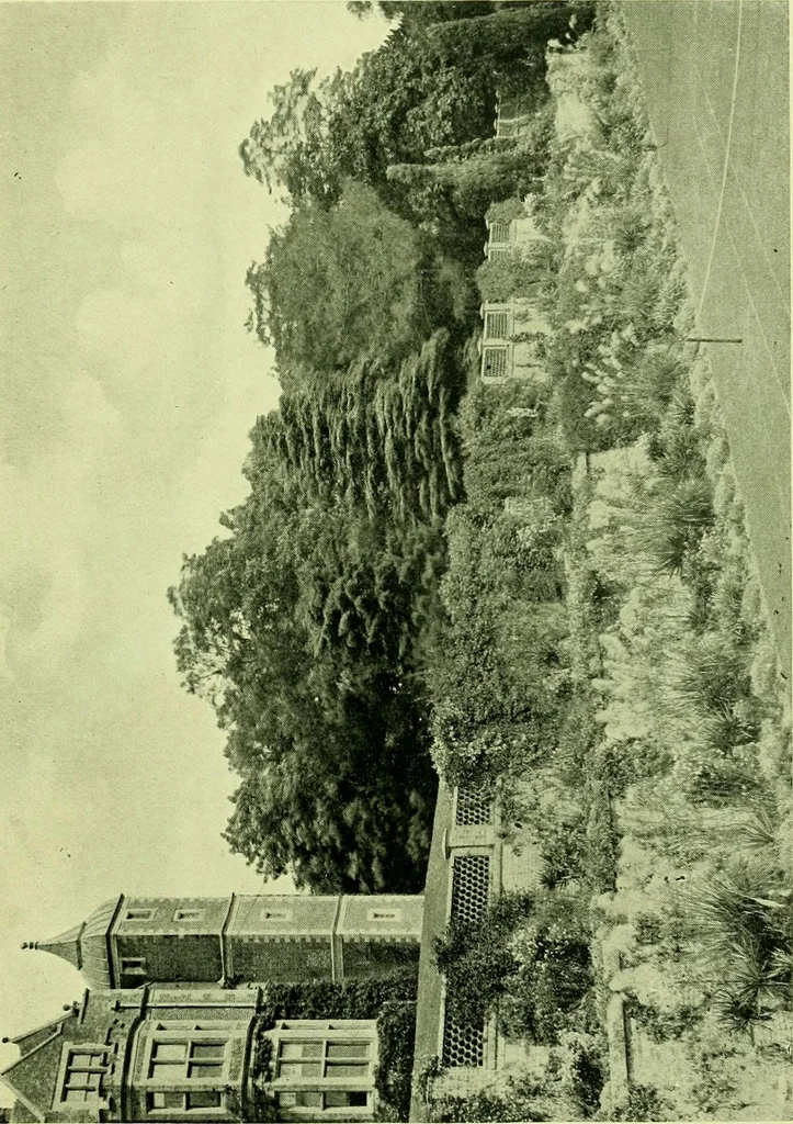 An illustration from Wall and water gardens, 1901, leaf 112