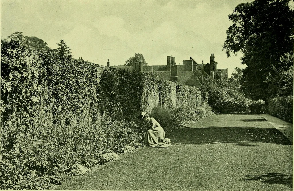 An illustration from Wall and water gardens, 1901, leaf 124