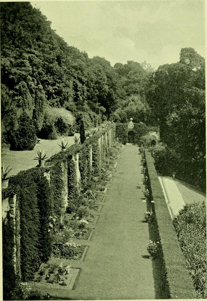 An illustration from Wall and water gardens, 1901, leaf 128