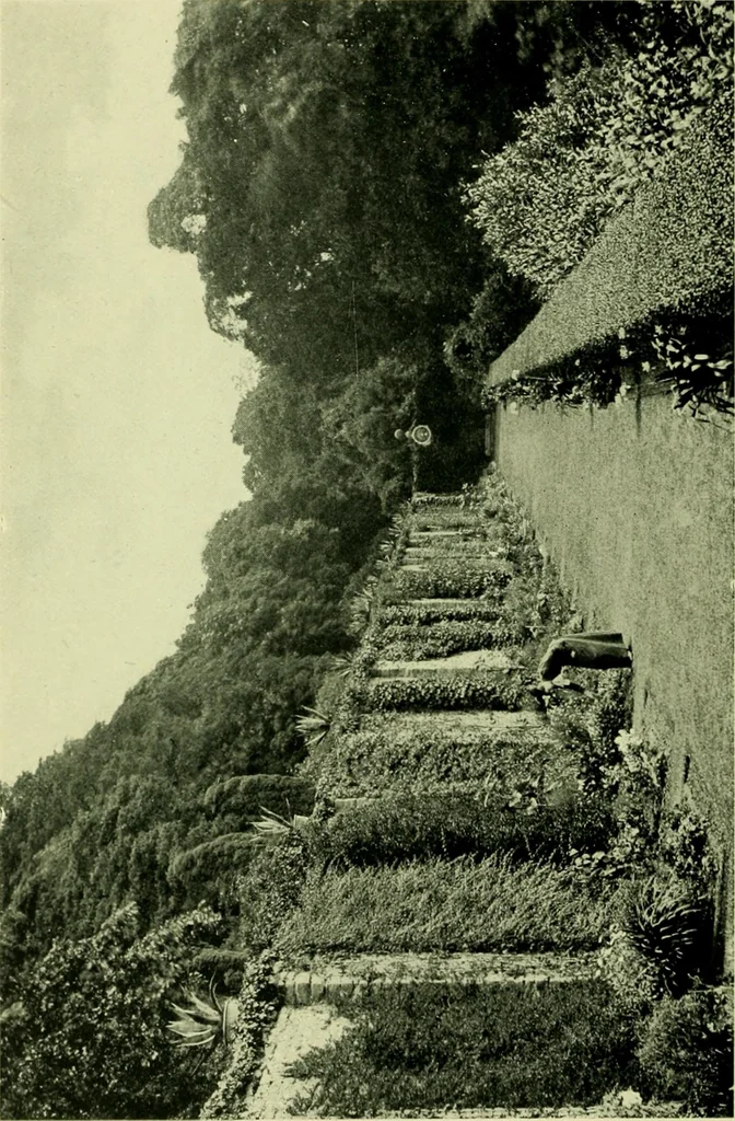 An illustration from Wall and water gardens, 1901, leaf 129