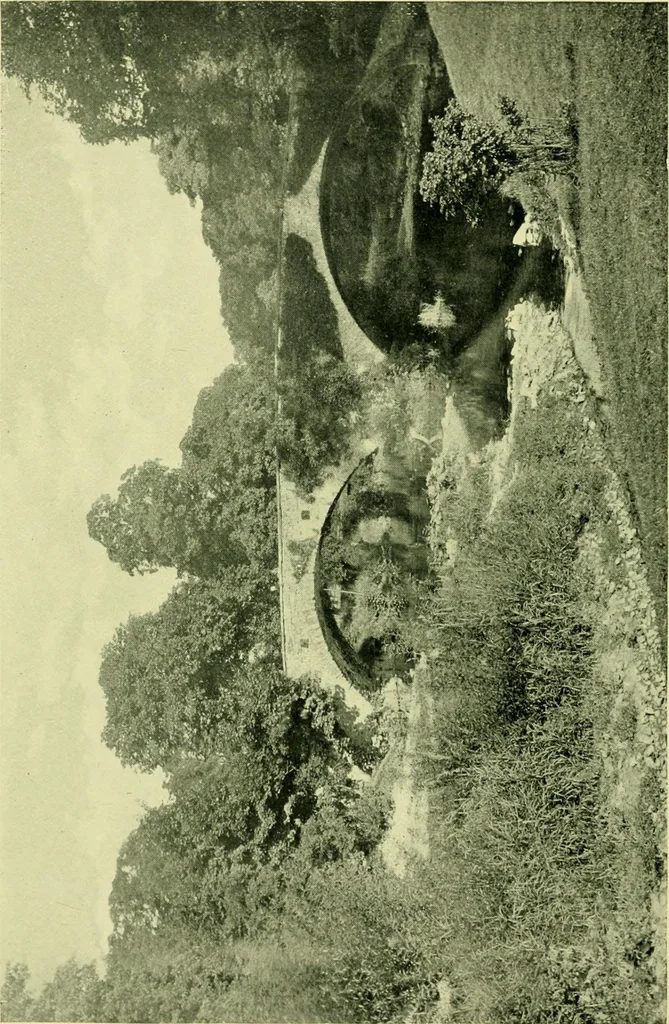 An illustration from Wall and water gardens, 1901, leaf 139