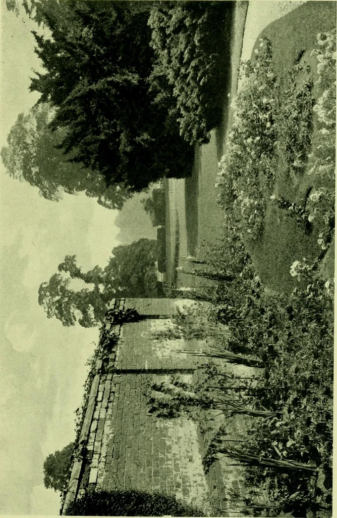 An illustration from Wall and water gardens, 1901, leaf 150