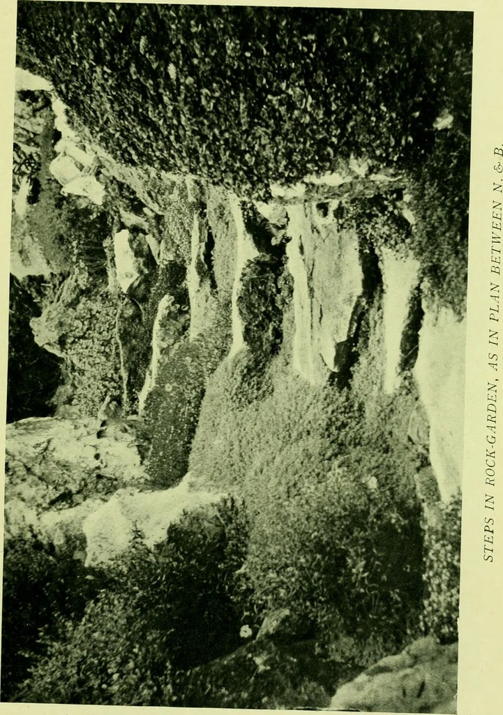 An illustration from Wall and water gardens, 1901, leaf 186