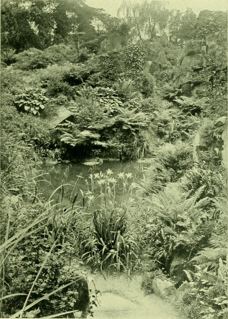 An illustration from Wall and water gardens, 1901, leaf 218