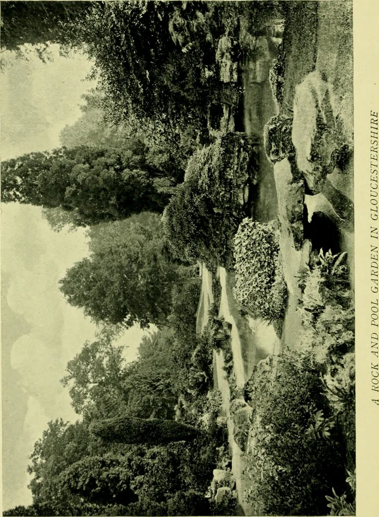An illustration from Wall and water gardens, 1901, leaf 275