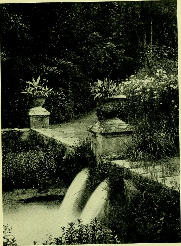 An illustration from Wall and water gardens, 1901, leaf 278