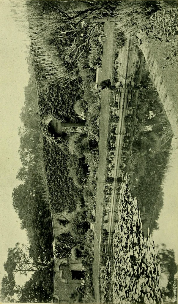 An illustration from Wall and water gardens, 1901, leaf 295