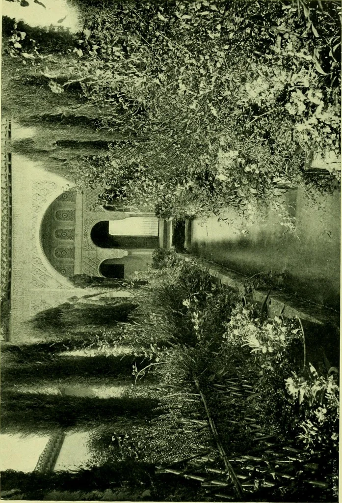 An illustration from Wall and water gardens, 1901, leaf 300