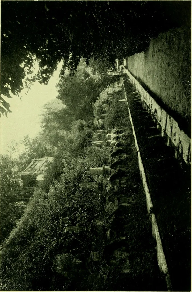 An illustration from Wall and water gardens, 1901, leaf 304