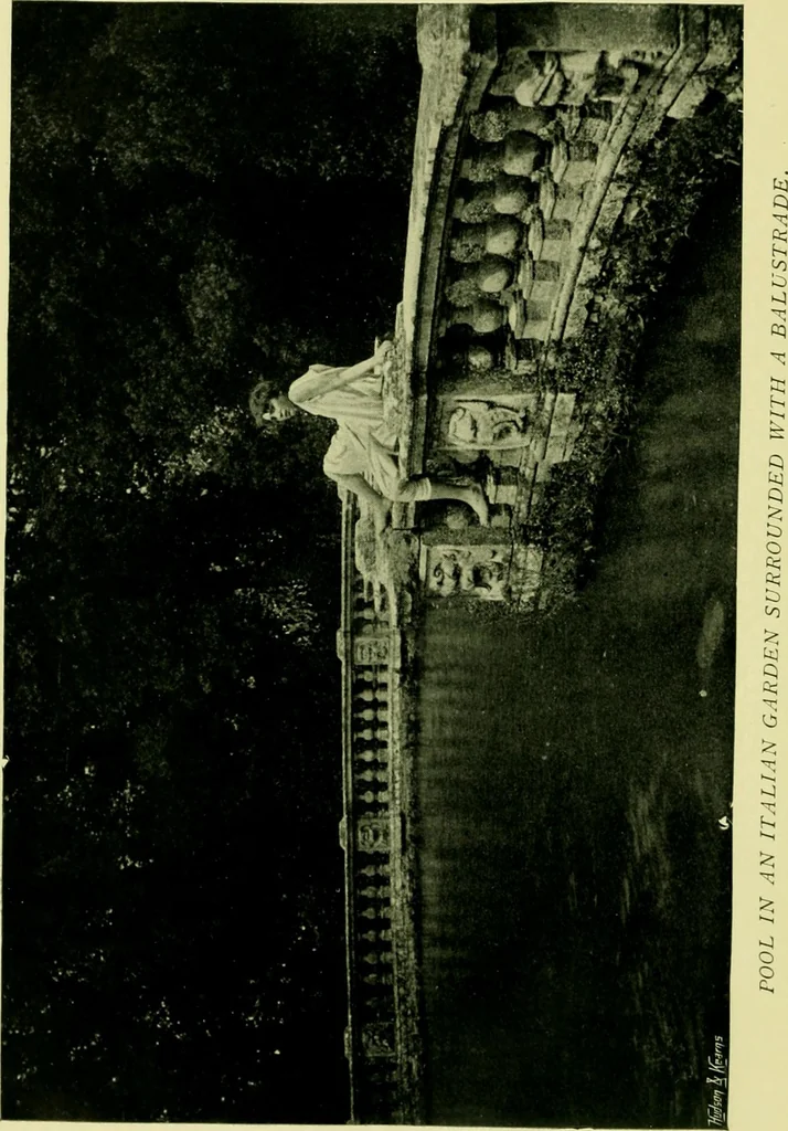 An illustration from Wall and water gardens, 1901, leaf 305