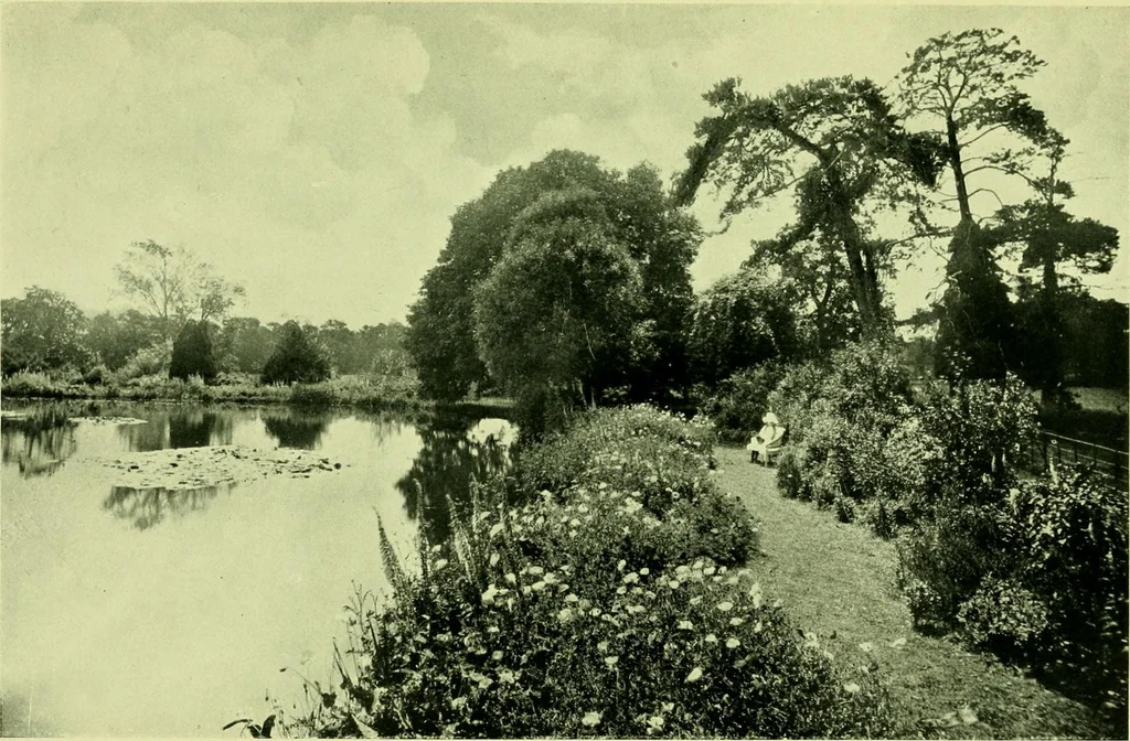 An illustration from Wall and water gardens, 1901, leaf 334