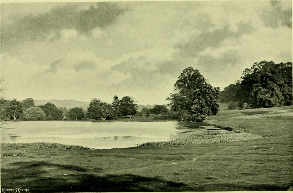 An illustration from Wall and water gardens, 1901, leaf 335