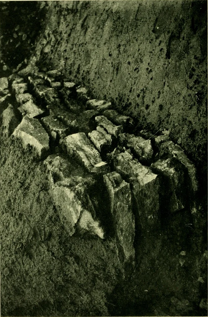 An illustration from Wall and water gardens, 1901, leaf 43