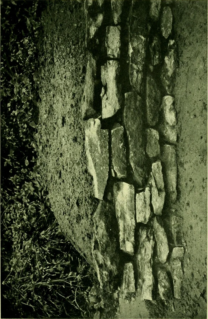 An illustration from Wall and water gardens, 1901, leaf 46