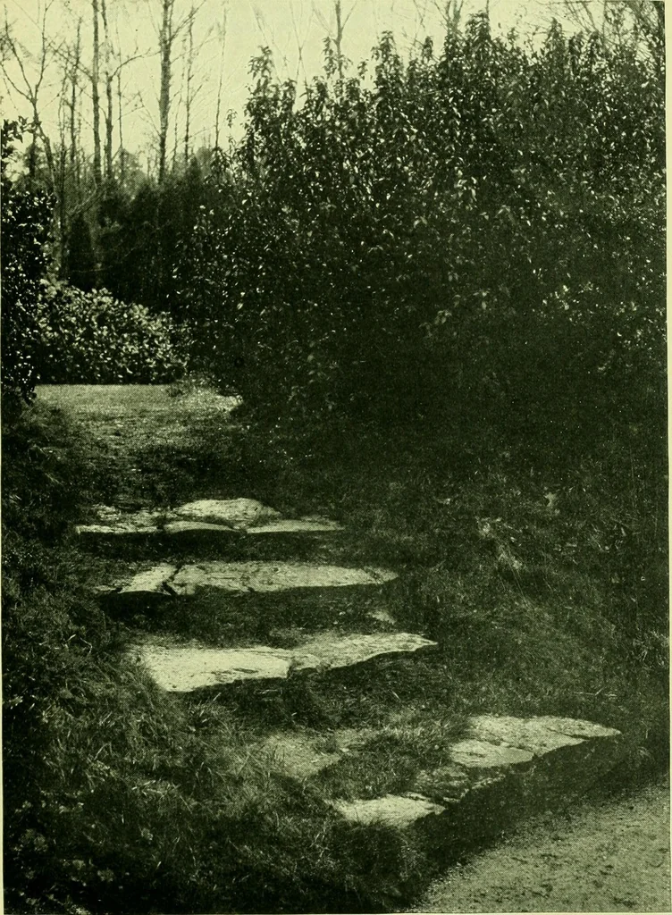 An illustration from Wall and water gardens, 1901, leaf 50
