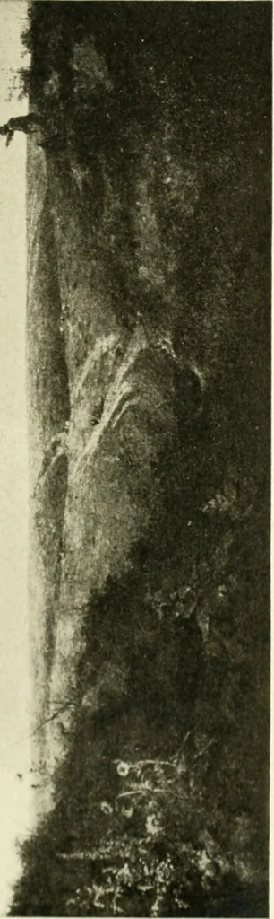 An illustration from A wanderer in London, 1906, leaf 162
