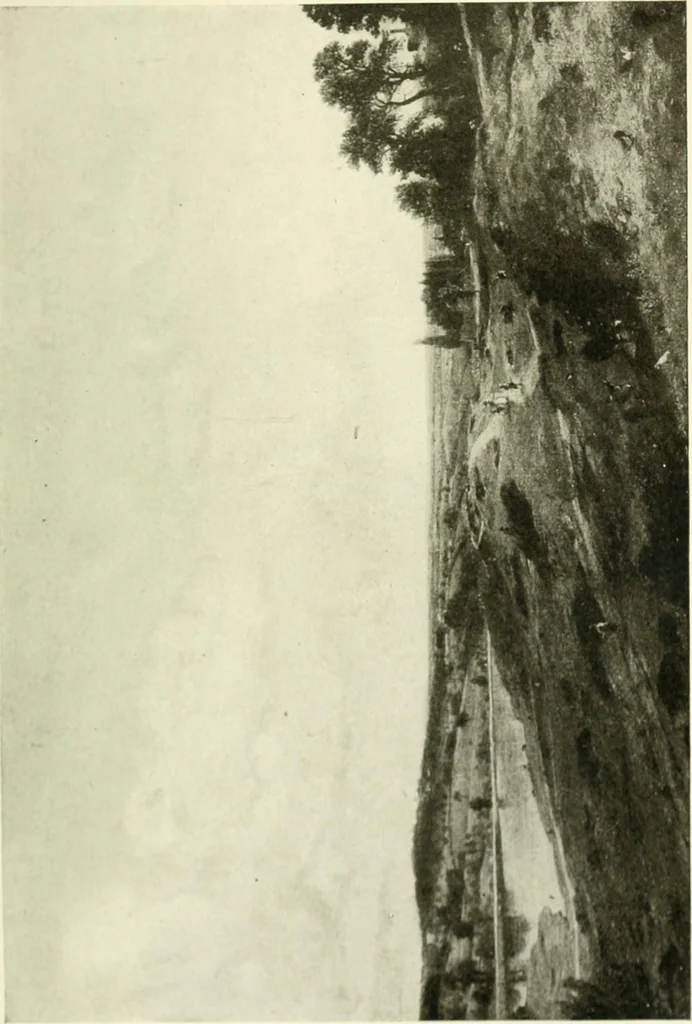 An illustration from A wanderer in London, 1906, leaf 368