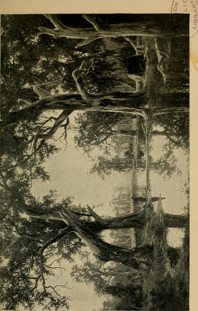 An illustration from The wanderings of a spiritualist, 1921, leaf 146
