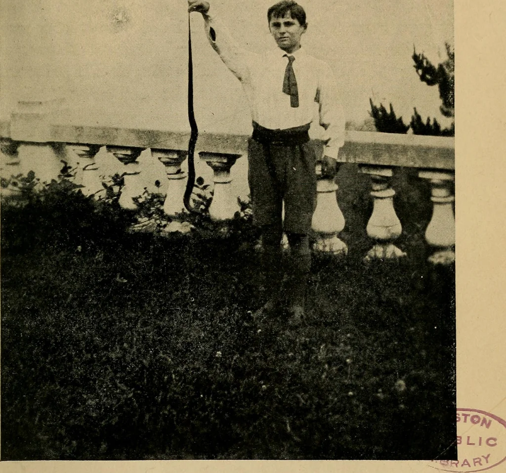 An illustration from The wanderings of a spiritualist, 1921, leaf 302