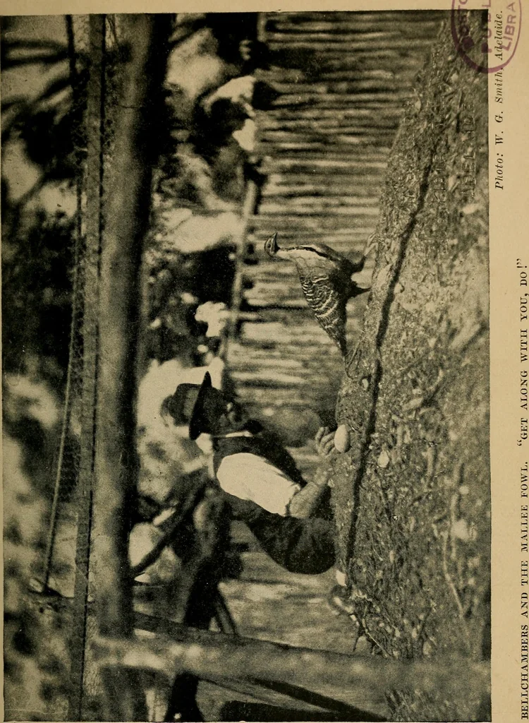 An illustration from The wanderings of a spiritualist, 1921, leaf 94