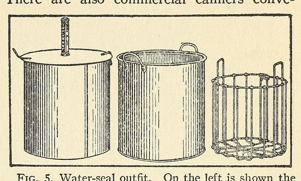 An illustration from The war garden victorious, 1919, leaf 377