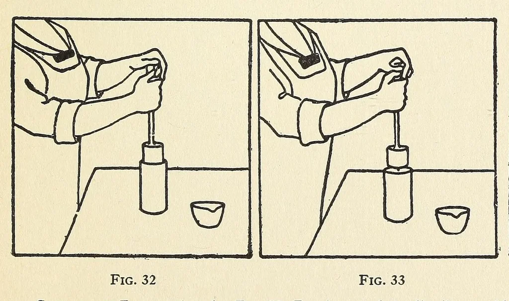 An illustration from The war garden victorious, 1919, leaf 387