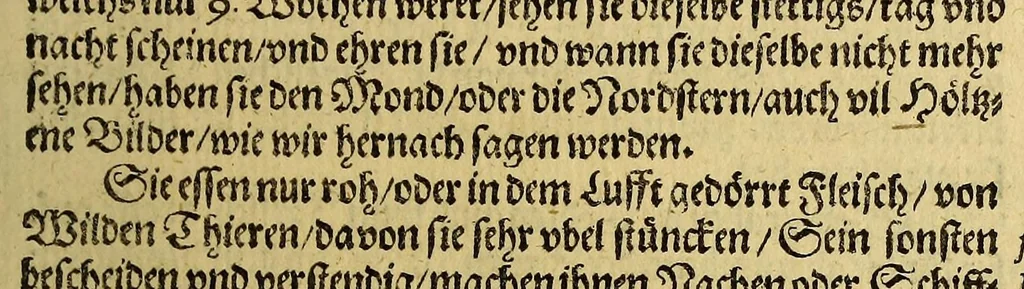 An illustration from Warhafftige Relation. Der dreyen newen vnerhörten, seltzamen Schiffart, so die holländischen vnd seeländischen Schiff gegen Mitternacht, drey Jar nach einander, als Anno 1594. 1595. vnd 1596. verricht. : Wie sie Nottvvegen, Lappiam, Biarmiam, vnd Russiam, oder Moscoviam (vorhabens ins Königreich Cathay vnd China zukommen) vmbsegelt haben. Als auch wie sie das Fretum Nassoviae, VVaygats, Novam Semblam, vnd das Land vnter dem 8o. Gradu Latitud. so man vermeint das Groenland sey, gefunden: vnd was für gefahr, wegen der erschröcklichen Bern, Meerwunder, vnd dem Eyss, sie aussgestanden., 1598, leaf 77