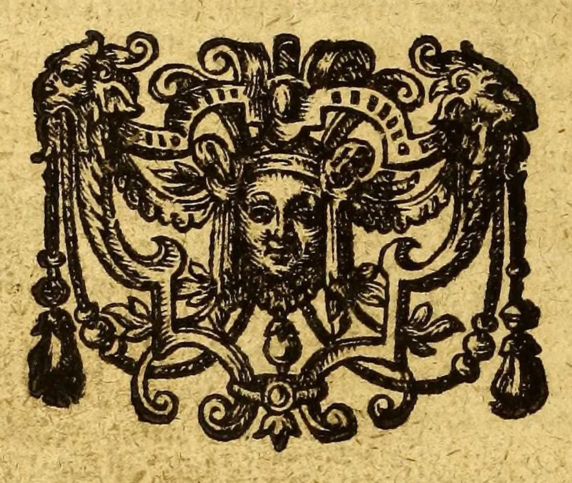 An illustration from Warhafftiger vnd gründtlicher Bericht der Hispanier grewlichen, vnd abschewlichen Tyranney, von jhnen in den West Indien, so die Neuwe Welt genennet wirt, begangen., 1599, leaf 192