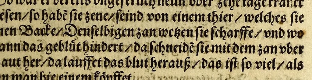 An illustration from Warhafftig Historia vnnd Beschreibung einer Landtschafft der wilden, nacketen, grimmigen Menschfresser Leuthen, in der Newen Welt America gelegen, vor vnd nach Christi Geburt im Land zu Hessen vnbekant, biss auff dise ij. nechst vergangene Jar, da sie Hans Staden von Homberg auss Hessen durch seine eygne Erfarung erkant, vnd jetzund durch den Truck an Tag gibt. : mit einer Vorrede D. Joh. Dryandri ... : Inhalt des Büchlins volget nach den Vorreden, 1557, leaf 103
