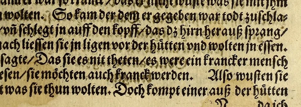 An illustration from Warhafftig Historia vnnd Beschreibung einer Landtschafft der wilden, nacketen, grimmigen Menschfresser Leuthen, in der Newen Welt America gelegen, vor vnd nach Christi Geburt im Land zu Hessen vnbekant, biss auff dise ij. nechst vergangene Jar, da sie Hans Staden von Homberg auss Hessen durch seine eygne Erfarung erkant, vnd jetzund durch den Truck an Tag gibt. : mit einer Vorrede D. Joh. Dryandri ... : Inhalt des Büchlins volget nach den Vorreden, 1557, leaf 103