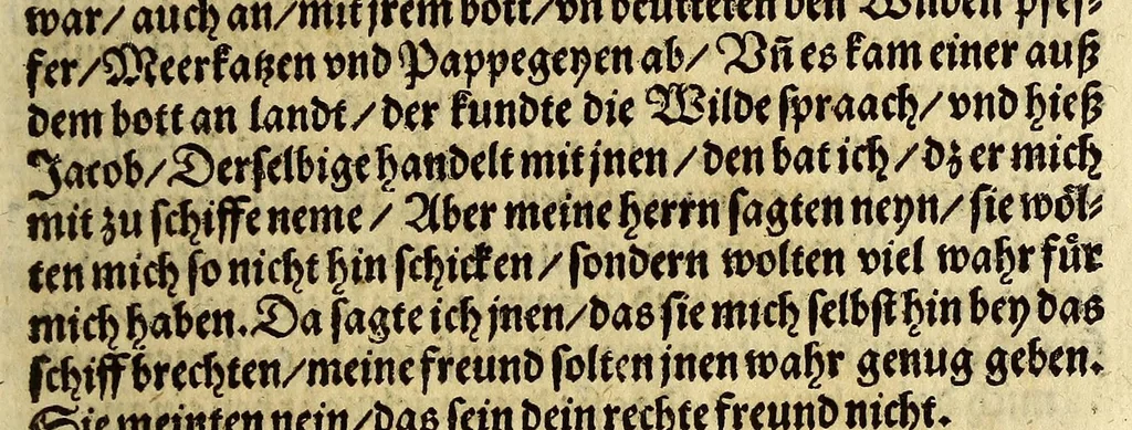 An illustration from Warhafftig Historia vnnd Beschreibung einer Landtschafft der wilden, nacketen, grimmigen Menschfresser Leuthen, in der Newen Welt America gelegen, vor vnd nach Christi Geburt im Land zu Hessen vnbekant, biss auff dise ij. nechst vergangene Jar, da sie Hans Staden von Homberg auss Hessen durch seine eygne Erfarung erkant, vnd jetzund durch den Truck an Tag gibt. : mit einer Vorrede D. Joh. Dryandri ... : Inhalt des Büchlins volget nach den Vorreden, 1557, leaf 105