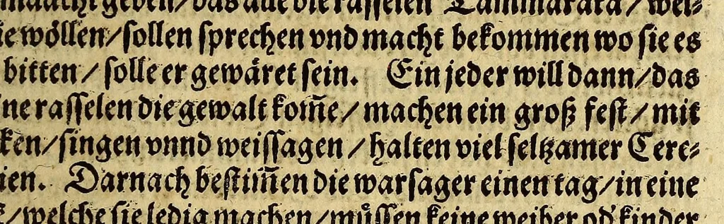 An illustration from Warhafftig Historia vnnd Beschreibung einer Landtschafft der wilden, nacketen, grimmigen Menschfresser Leuthen, in der Newen Welt America gelegen, vor vnd nach Christi Geburt im Land zu Hessen vnbekant, biss auff dise ij. nechst vergangene Jar, da sie Hans Staden von Homberg auss Hessen durch seine eygne Erfarung erkant, vnd jetzund durch den Truck an Tag gibt. : mit einer Vorrede D. Joh. Dryandri ... : Inhalt des Büchlins volget nach den Vorreden, 1557, leaf 155