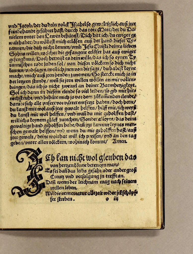 An illustration from Warhaftige Historia vnd Beschreibung eyner Landtschafft der wilden, nacketen, grimmigen Menschfresser Leuthen, in der Newenwelt America gelegen, vor vnd nach Christi Geburt im Land zu Hessen vnbekant, biss vff dise ij. nechst vergangene Jar, da sie Hans Staden von Homberg auss Hessen durch seine eygne Erfarung erkant, vnd yetzo durch den Truck an Tag gibt. : mit eyner Vorrede D. Joh. Dryandri ... Inhalt des Büchlins volget nach den Vorreden, 1557, leaf 131