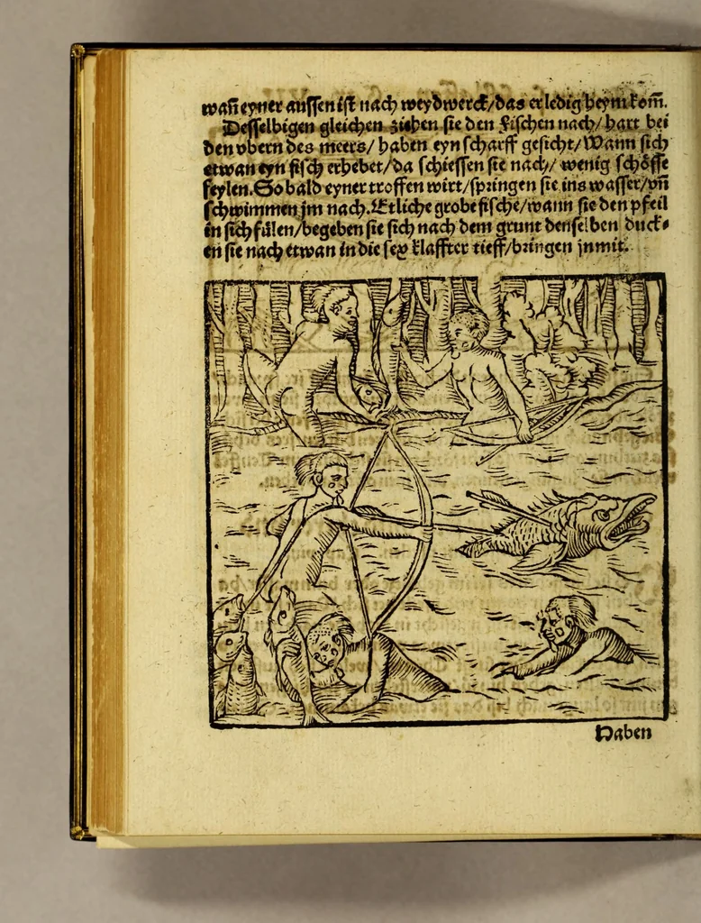 An illustration from Warhaftige Historia vnd Beschreibung eyner Landtschafft der wilden, nacketen, grimmigen Menschfresser Leuthen, in der Newenwelt America gelegen, vor vnd nach Christi Geburt im Land zu Hessen vnbekant, biss vff dise ij. nechst vergangene Jar, da sie Hans Staden von Homberg auss Hessen durch seine eygne Erfarung erkant, vnd yetzo durch den Truck an Tag gibt. : mit eyner Vorrede D. Joh. Dryandri ... Inhalt des Büchlins volget nach den Vorreden, 1557, leaf 142