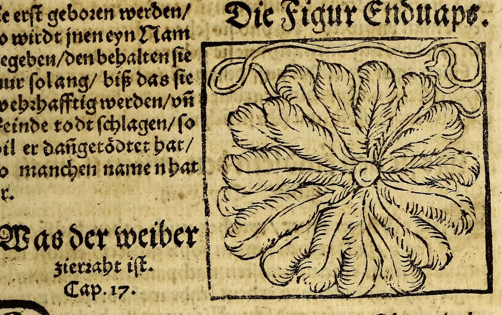 An illustration from Warhaftige Historia vnd Beschreibung eyner Landtschafft der wilden, nacketen, grimmigen Menschfresser Leuthen, in der Newenwelt America gelegen, vor vnd nach Christi Geburt im Land zu Hessen vnbekant, biss vff dise ij. nechst vergangene Jar, da sie Hans Staden von Homberg auss Hessen durch seine eygne Erfarung erkant, vnd yetzo durch den Truck an Tag gibt. : mit eyner Vorrede D. Joh. Dryandri ... Inhalt des Büchlins volget nach den Vorreden, 1557, leaf 153