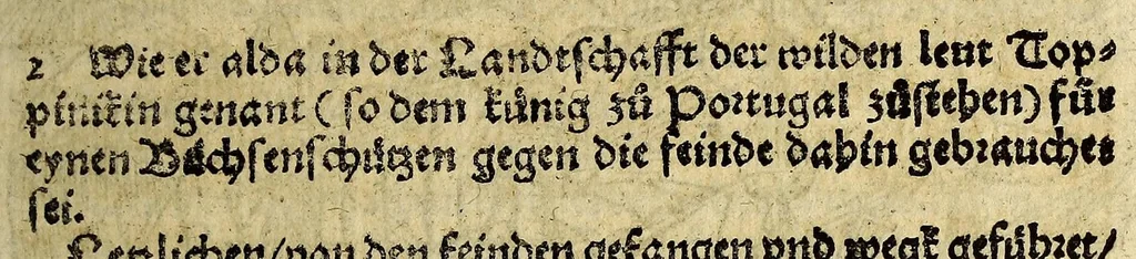 An illustration from Warhaftige Historia vnd Beschreibung eyner Landtschafft der wilden, nacketen, grimmigen Menschfresser Leuthen, in der Newenwelt America gelegen, vor vnd nach Christi Geburt im Land zu Hessen vnbekant, biss vff dise ij. nechst vergangene Jar, da sie Hans Staden von Homberg auss Hessen durch seine eygne Erfarung erkant, vnd yetzo durch den Truck an Tag gibt. : mit eyner Vorrede D. Joh. Dryandri ... Inhalt des Büchlins volget nach den Vorreden, 1557, leaf 21