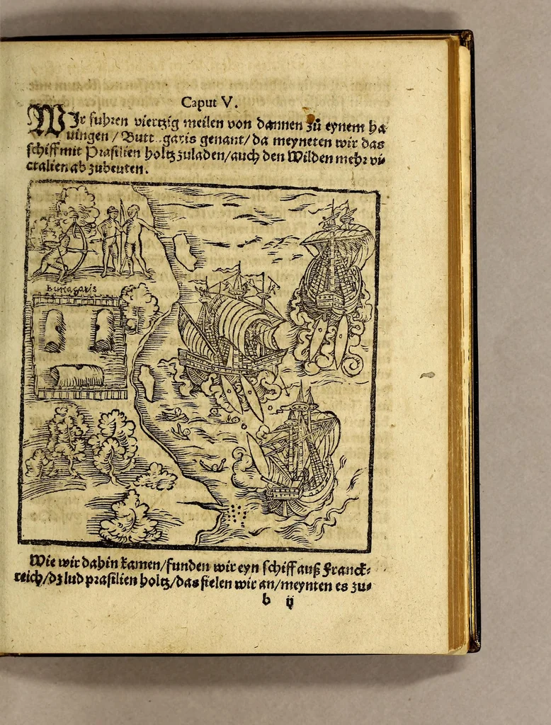 An illustration from Warhaftige Historia vnd Beschreibung eyner Landtschafft der wilden, nacketen, grimmigen Menschfresser Leuthen, in der Newenwelt America gelegen, vor vnd nach Christi Geburt im Land zu Hessen vnbekant, biss vff dise ij. nechst vergangene Jar, da sie Hans Staden von Homberg auss Hessen durch seine eygne Erfarung erkant, vnd yetzo durch den Truck an Tag gibt. : mit eyner Vorrede D. Joh. Dryandri ... Inhalt des Büchlins volget nach den Vorreden, 1557, leaf 33