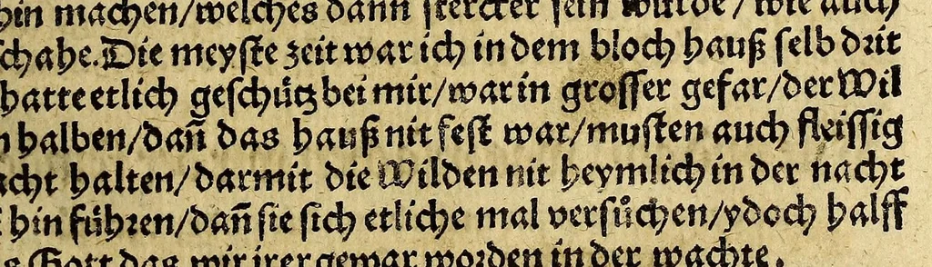 An illustration from Warhaftige Historia vnd Beschreibung eyner Landtschafft der wilden, nacketen, grimmigen Menschfresser Leuthen, in der Newenwelt America gelegen, vor vnd nach Christi Geburt im Land zu Hessen vnbekant, biss vff dise ij. nechst vergangene Jar, da sie Hans Staden von Homberg auss Hessen durch seine eygne Erfarung erkant, vnd yetzo durch den Truck an Tag gibt. : mit eyner Vorrede D. Joh. Dryandri ... Inhalt des Büchlins volget nach den Vorreden, 1557, leaf 55