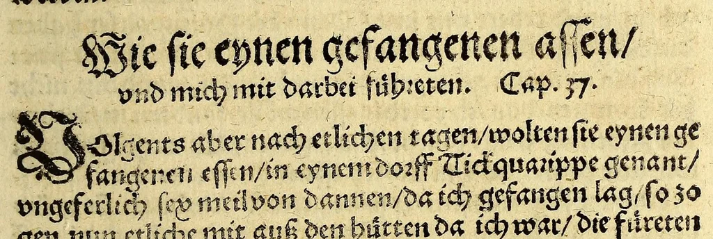 An illustration from Warhaftige Historia vnd Beschreibung eyner Landtschafft der wilden, nacketen, grimmigen Menschfresser Leuthen, in der Newenwelt America gelegen, vor vnd nach Christi Geburt im Land zu Hessen vnbekant, biss vff dise ij. nechst vergangene Jar, da sie Hans Staden von Homberg auss Hessen durch seine eygne Erfarung erkant, vnd yetzo durch den Truck an Tag gibt. : mit eyner Vorrede D. Joh. Dryandri ... Inhalt des Büchlins volget nach den Vorreden, 1557, leaf 91
