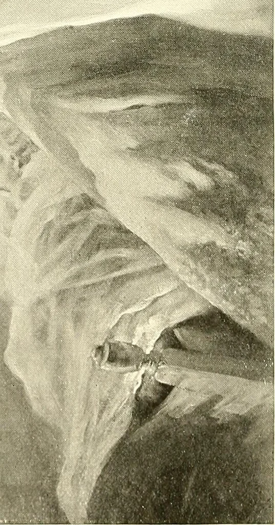 An illustration from Warings' exhibition of Italian art 1909 : furniture, bronzes, tapestries, embroideries, marbles, lace, academy pictures, 1909, leaf 13