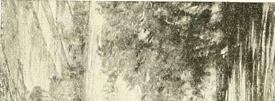 An illustration from Warings' exhibition of Italian art 1909 : furniture, bronzes, tapestries, embroideries, marbles, lace, academy pictures, 1909, leaf 15