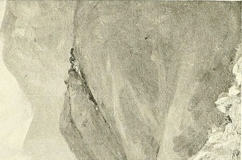 An illustration from Warings' exhibition of Italian art 1909 : furniture, bronzes, tapestries, embroideries, marbles, lace, academy pictures, 1909, leaf 17