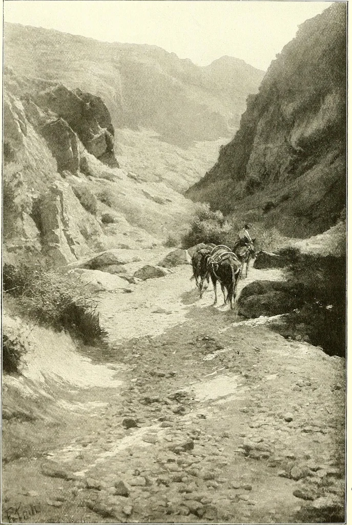 An illustration from Warings' exhibition of Italian art 1909 : furniture, bronzes, tapestries, embroideries, marbles, lace, academy pictures, 1909, leaf 19