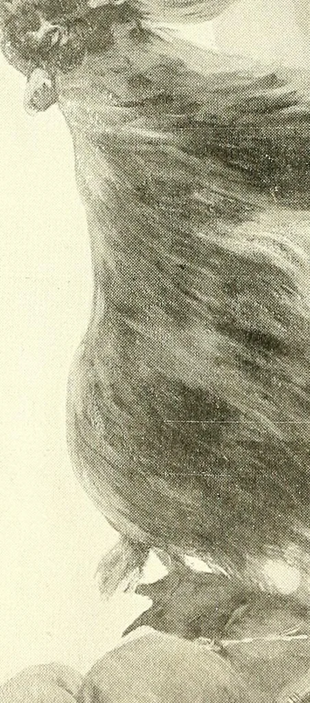 An illustration from Warings' exhibition of Italian art 1909 : furniture, bronzes, tapestries, embroideries, marbles, lace, academy pictures, 1909, leaf 21