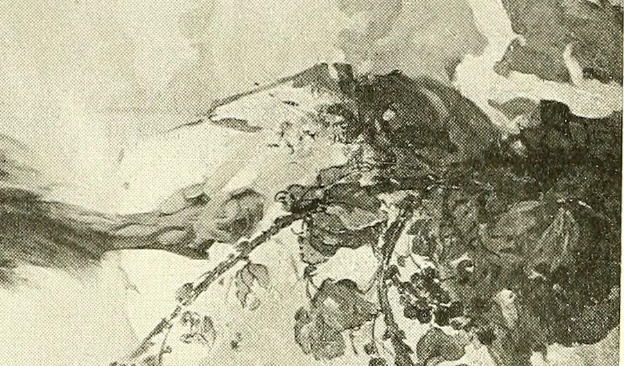 An illustration from Warings' exhibition of Italian art 1909 : furniture, bronzes, tapestries, embroideries, marbles, lace, academy pictures, 1909, leaf 21