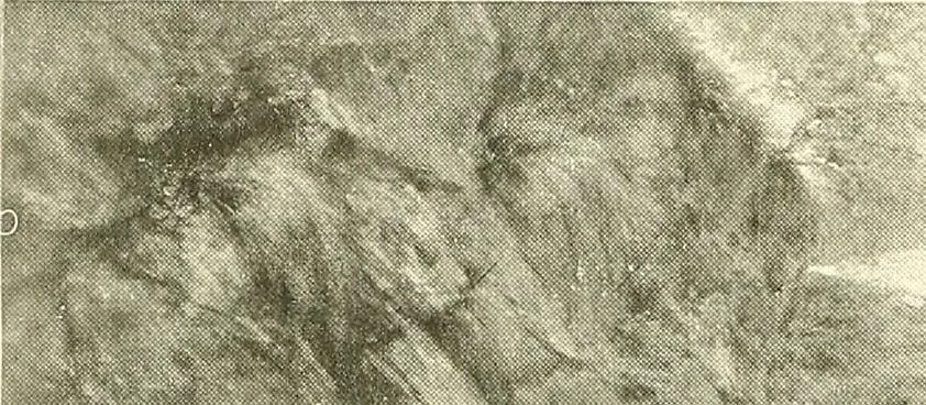 An illustration from Warings' exhibition of Italian art 1909 : furniture, bronzes, tapestries, embroideries, marbles, lace, academy pictures, 1909, leaf 25