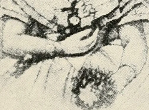 An illustration from Was Abraham Lincoln a spiritualist? : or, curious revelations from the life of a trance medium, 1917, leaf 78