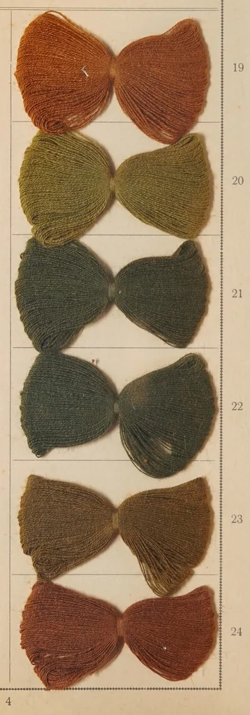An illustration from Waschechte Diazobraun und Diazoolive = Diazo browns and diazo olives fast to washing = Diazo bruns et diazo olive solides au lavage., 1911, leaf 6